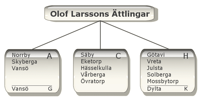 Släktens olika linjer